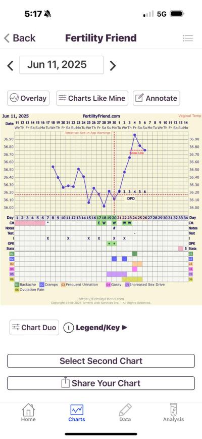 Snažení | Graf bazální teploty - Fertility Friend APP