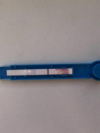 Testování a těhotenský test | Foto: Duch 13dpo? vidíte?