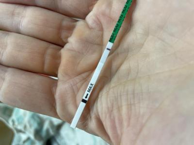 Testování a těhotenský test | Negativni test, zejo? Zejo