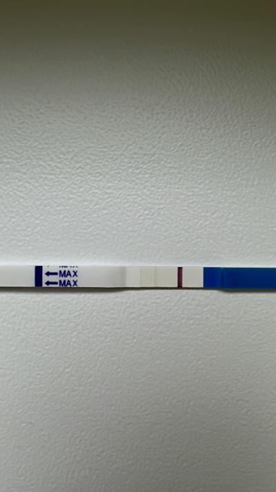 Testování a těhotenský test | Snažilky 2025