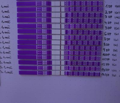 Testování a těhotenský test | Snažilky 2025