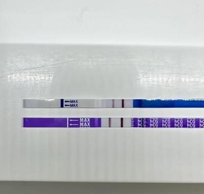 Testování a těhotenský test | Snažilky 2025