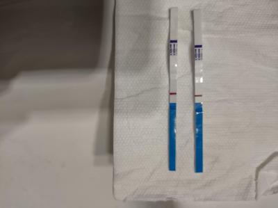 Snažení | IUI a IVF 2025