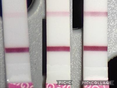 Testování a těhotenský test | Čárka na TT - sílí dostatečně rychle?