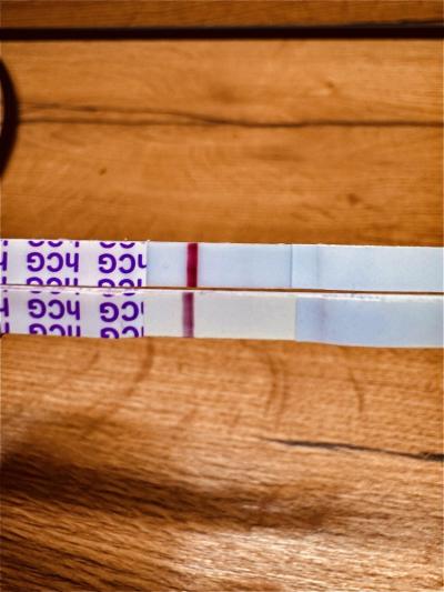 Testování a těhotenský test | Foto těhotenského testu 10 DPO – je pozitivní?