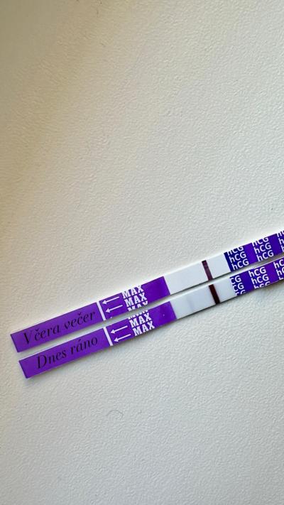 Testování a těhotenský test | Snažilky 2025