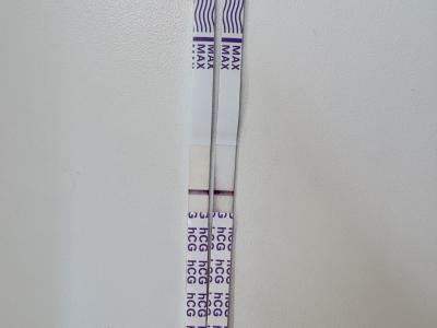 Testování a těhotenský test | Ahoj, vidíte ducha? :/