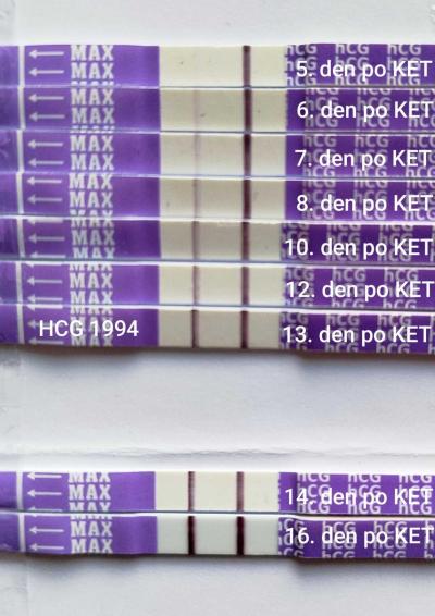 Centra asistované reprodukce | IVF/KET 2025