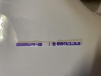 Testování a těhotenský test | Snažilky 2025