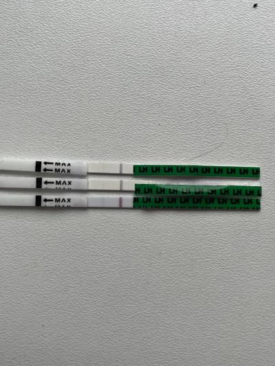 Testování a těhotenský test | Silící ovu test pred ms?