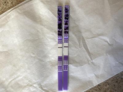 Testování a těhotenský test | Těhotenství - slabý duch na testu