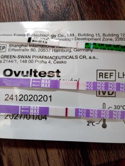 Testování a těhotenský test | Snažilky 2025
