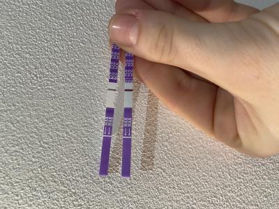 Testování a těhotenský test | Snažilky 2025