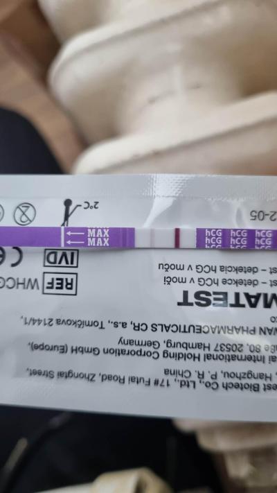Testování a těhotenský test | Snažilky 2025