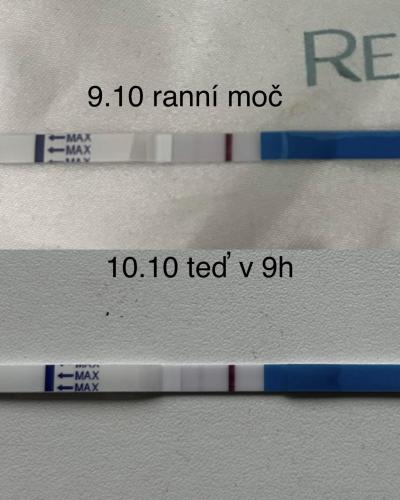 Testování a těhotenský test | 10 dpo, vím brzy, ale…