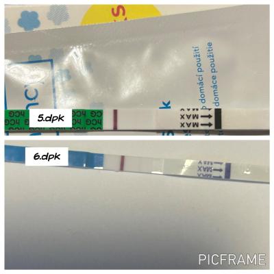 Centra asistované reprodukce | IVF/KET 2025