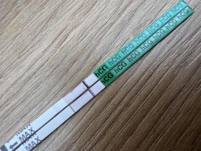 Testování a těhotenský test | Jak vypadaji testiky?