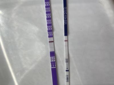 Testování a těhotenský test | 2 dny do ms test