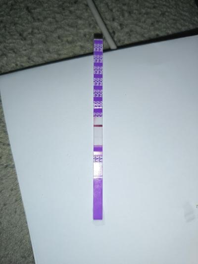 Testování a těhotenský test | Snažilky 2025