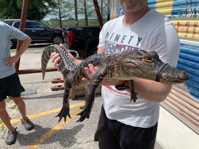 Cestování s dětmi | FLORIDA -Orlando