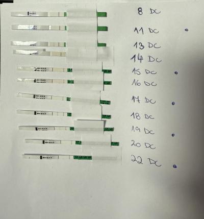 Snažení | Ovulace -test gs ovultest