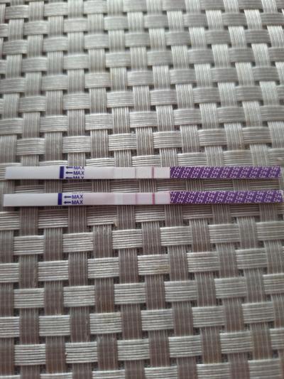 Testování a těhotenský test | Snažení , proběhla  ovulace