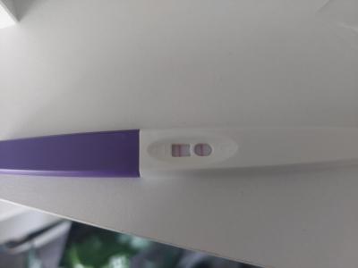 Testování a těhotenský test | Ovu a tt test