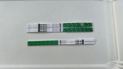 Testování a těhotenský test | Těhotenstvi po 12 dnech