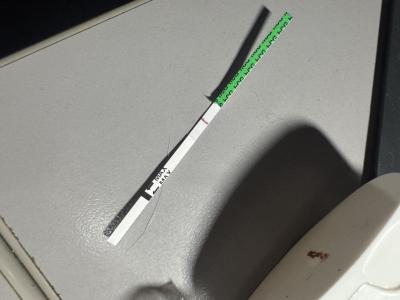 Pepino
