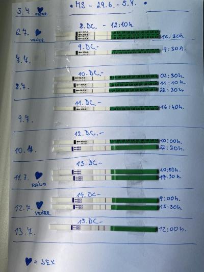 Testování a těhotenský test | Ovulační test - rady a zkušenosti