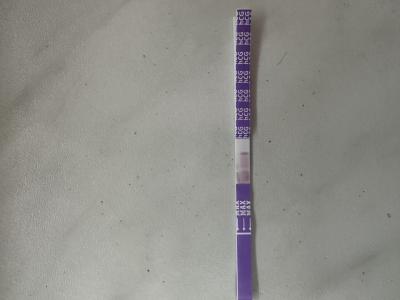 Testování a těhotenský test | Ryska na těhu testu