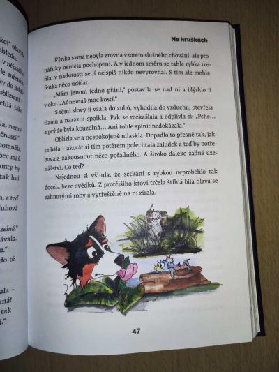 Kniha O beránku Snížkovi a kouzelné Kýnce