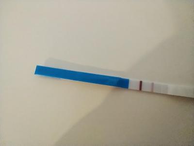 Těhotenství se špatným koncem | HCG 275 a dvojčata?