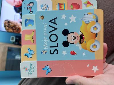 Recenze z kampaně Disney Baby v rukou dětí: Co říkáte na oblíbené knihy?
