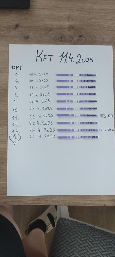 Testování a těhotenský test | KET DUBEN 2025