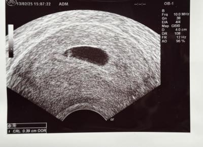 Testování a těhotenský test | Tt nesili?