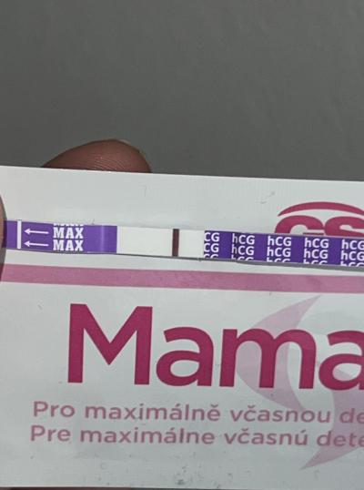 Testování a těhotenský test | Snažilky 2025