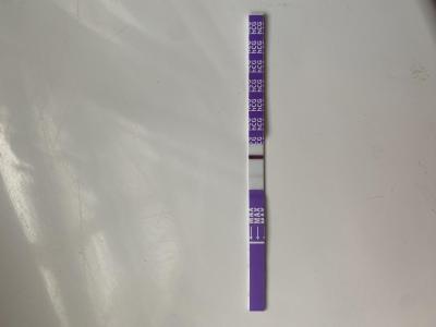 Testování a těhotenský test | Ryska na těhu testu