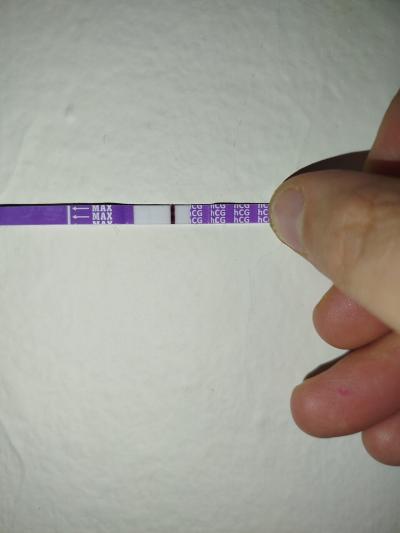 Testování a těhotenský test | 8 dní od styku a možná i od ovulace