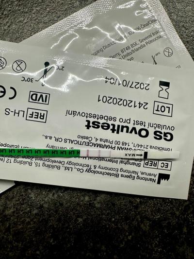 Testování a těhotenský test | Snažilky 2025