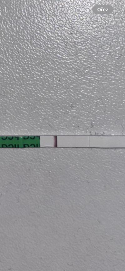 Testování a těhotenský test | Snažilky 2025