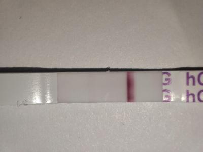 Testování a těhotenský test | 13 DPO - vidíte tam něco?