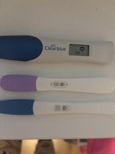 Centra asistované reprodukce | IVF - ET/KET 2026
