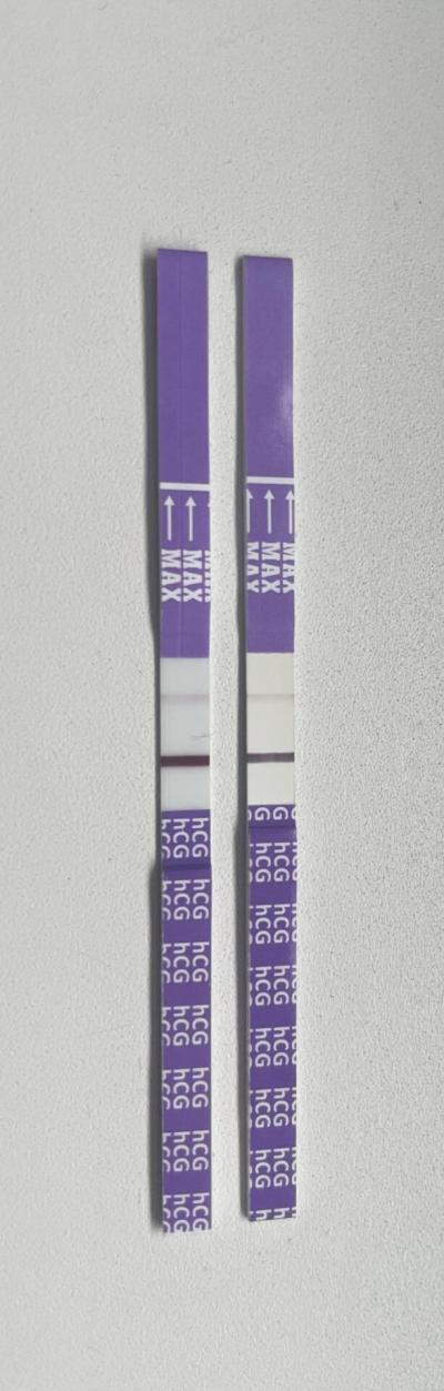 Testování a těhotenský test | Duch/ryska nebo není vidět nic?
