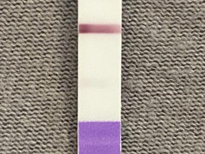 Testování a těhotenský test | Těhotenský test papírkový vs digitální