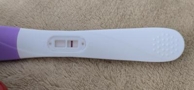 Testování a těhotenský test | Snažilky 2025