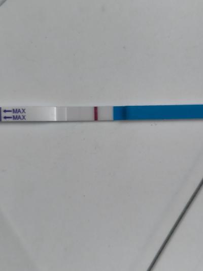 Testování a těhotenský test | Snažilky 2025