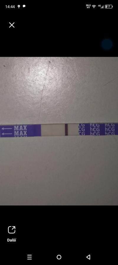 Testování a těhotenský test | Myslíte že je to ????