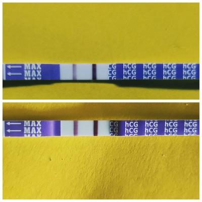 Centra asistované reprodukce | IVF/KET 2025