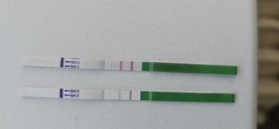 Testování a těhotenský test | Snažilky 2025